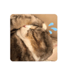 毎日ほっこりさくちゃんスタンプ2（個別スタンプ：8）