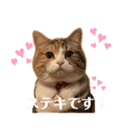 毎日ほっこりさくちゃんスタンプ2（個別スタンプ：9）