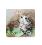 毎日ほっこりさくちゃんスタンプ2（個別スタンプ：13）