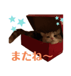 毎日ほっこりさくちゃんスタンプ2（個別スタンプ：16）