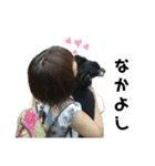 可愛いチワワのぴーたん⑤（個別スタンプ：1）