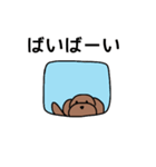 ぼくはココア（犬）（個別スタンプ：21）