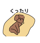 ぼくはココア（犬）（個別スタンプ：22）