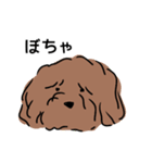 ぼくはココア（犬）（個別スタンプ：37）