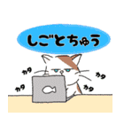 Nekoたちの日常2（個別スタンプ：20）