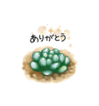 いろいろ多肉植物（個別スタンプ：5）