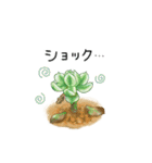 いろいろ多肉植物（個別スタンプ：22）