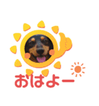 愛犬3りくちゃん（個別スタンプ：2）