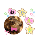 愛犬3りくちゃん（個別スタンプ：7）