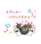 愛犬3りくちゃん（個別スタンプ：9）