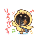 愛犬3りくちゃん（個別スタンプ：12）
