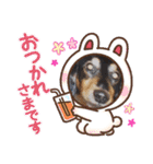 愛犬3りくちゃん（個別スタンプ：13）