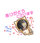 愛犬3りくちゃん（個別スタンプ：14）