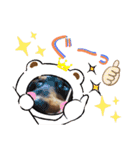 愛犬3りくちゃん（個別スタンプ：16）
