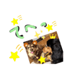 愛犬3りくちゃん（個別スタンプ：18）