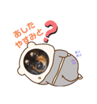 愛犬3りくちゃん（個別スタンプ：23）