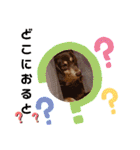 愛犬3りくちゃん（個別スタンプ：26）