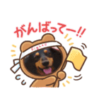 愛犬3りくちゃん（個別スタンプ：30）