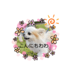 luckyスタイル（個別スタンプ：3）