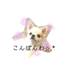 luckyスタイル（個別スタンプ：5）