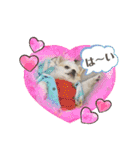 luckyスタイル（個別スタンプ：18）