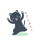 nanto 黒猫（個別スタンプ：19）