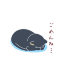 nanto 黒猫（個別スタンプ：25）