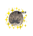 のんびりの猫（個別スタンプ：1）