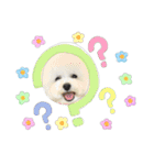 だいふくスタンプ○（個別スタンプ：16）