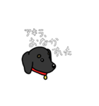 大好きなあきらくん（個別スタンプ：16）