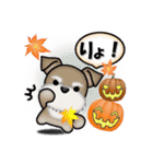 ミニチュアシュナウザーのHappy Halloween（個別スタンプ：19）