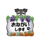 ミニチュアシュナウザーのHappy Halloween（個別スタンプ：24）