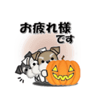 ミニチュアシュナウザーのHappy Halloween（個別スタンプ：34）