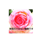 紫陽花と他（個別スタンプ：6）