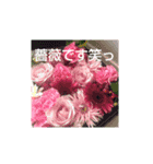 紫陽花と他（個別スタンプ：7）