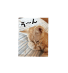 ミルくぅココの日常②（個別スタンプ：6）