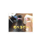 ミルくぅココの日常②（個別スタンプ：15）