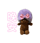 子グマのニッキーくんと仲間たち（個別スタンプ：5）