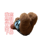 子グマのニッキーくんと仲間たち（個別スタンプ：19）