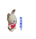 子グマのニッキーくんと仲間たち（個別スタンプ：28）