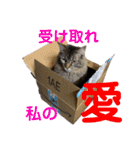 PJ＆POCHI＆KAYO 2（個別スタンプ：30）