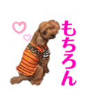 愛しのチーPart5（個別スタンプ：2）
