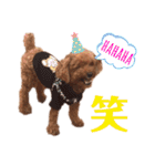 愛しのチーPart5（個別スタンプ：3）