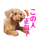 愛しのチーPart5（個別スタンプ：5）