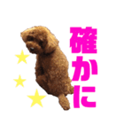 愛しのチーPart5（個別スタンプ：6）