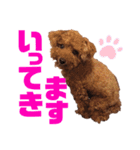 愛しのチーPart5（個別スタンプ：12）