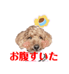 愛しのチーPart5（個別スタンプ：13）