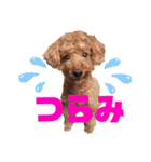 愛しのチーPart5（個別スタンプ：15）
