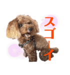 愛しのチーPart5（個別スタンプ：20）