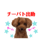 愛しのチーPart5（個別スタンプ：23）